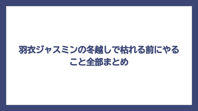 羽衣ジャスミンの冬越しで枯れる前にやること全部まとめ