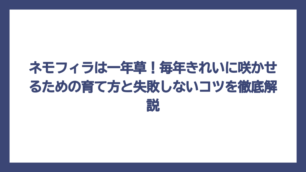 ネモフィラは一年草！毎年きれいに咲かせるための育て方と失敗しないコツを徹底解説