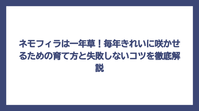 ネモフィラは一年草！毎年きれいに咲かせるための育て方と失敗しないコツを徹底解説