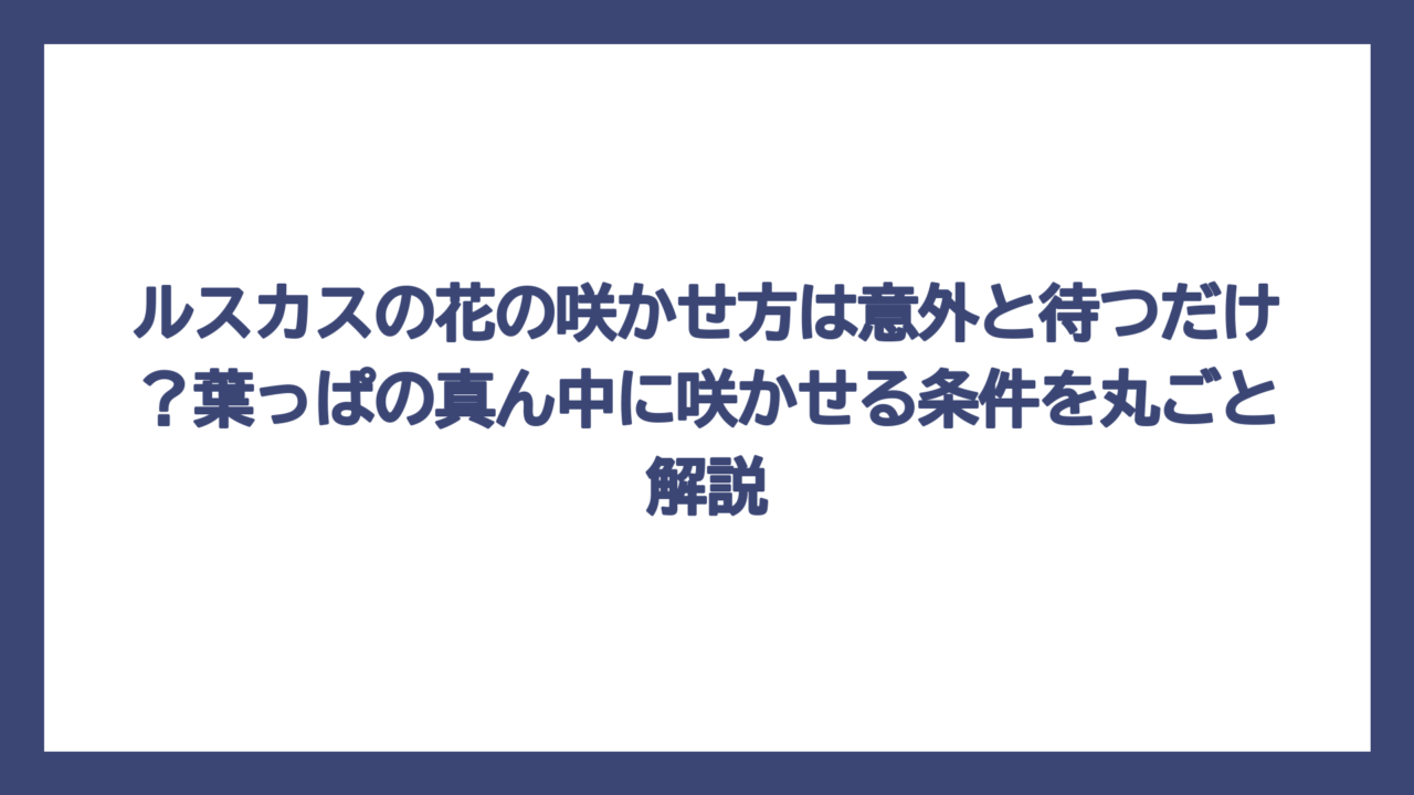 ルスカスの花の咲かせ方は意外と待つだけ？葉っぱの真ん中に咲かせる条件を丸ごと解説