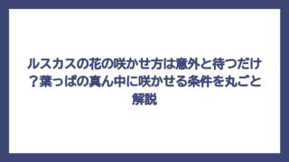 ルスカスの花の咲かせ方は意外と待つだけ？葉っぱの真ん中に咲かせる条件を丸ごと解説