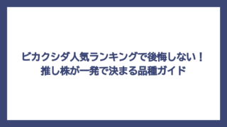 ビカクシダ人気ランキングで後悔しない！推し株が一発で決まる品種ガイド