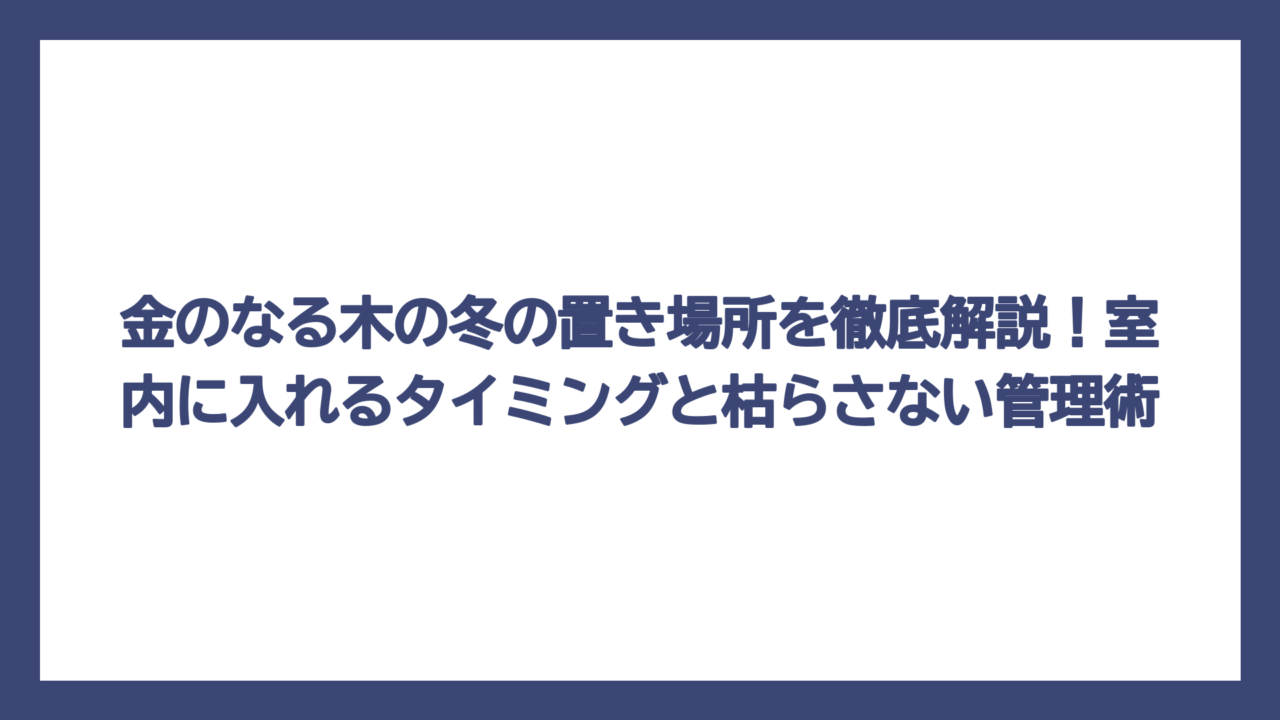 金のなる木の冬の置き場所を徹底解説！室内に入れるタイミングと枯らさない管理術