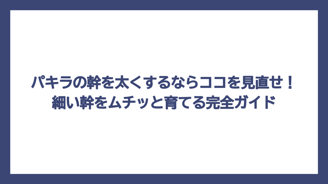 パキラの幹を太くするならココを見直せ！細い幹をムチッと育てる完全ガイド