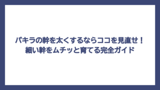 パキラの幹を太くするならココを見直せ！細い幹をムチッと育てる完全ガイド