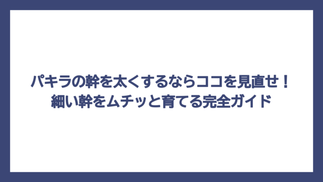 パキラの幹を太くするならココを見直せ！細い幹をムチッと育てる完全ガイド