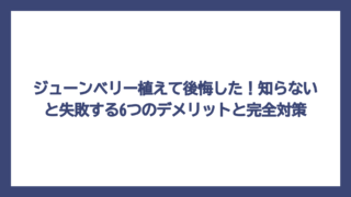 ジューンベリー植えて後悔した！知らないと失敗する6つのデメリットと完全対策