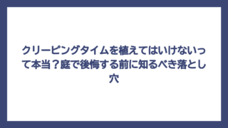 クリーピングタイムを植えてはいけないって本当？庭で後悔する前に知るべき落とし穴
