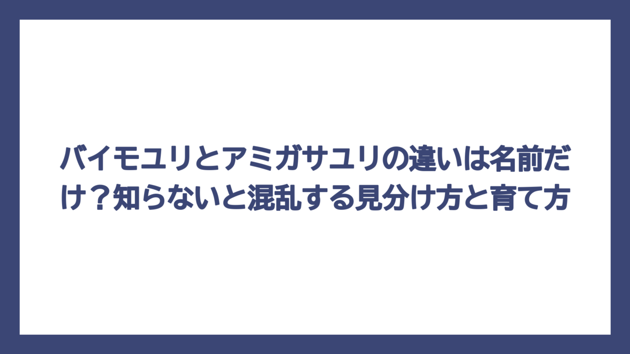 バイモユリとアミガサユリの違いは名前だけ？知らないと混乱する見分け方と育て方