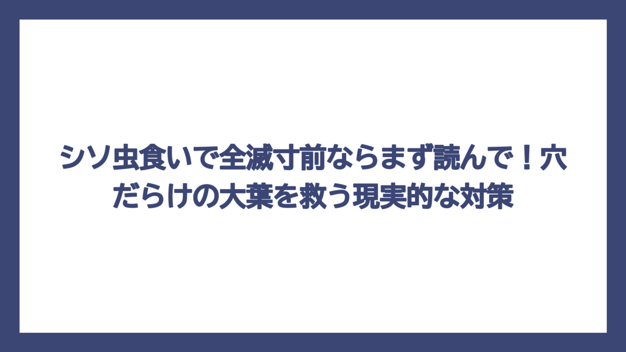 シソ虫食いで全滅寸前ならまず読んで！穴だらけの大葉を救う現実的な対策