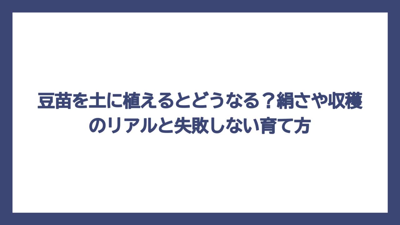 豆苗を土に植えるとどうなる？絹さや収穫のリアルと失敗しない育て方