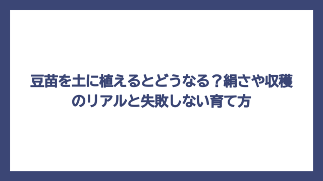 豆苗を土に植えるとどうなる？絹さや収穫のリアルと失敗しない育て方