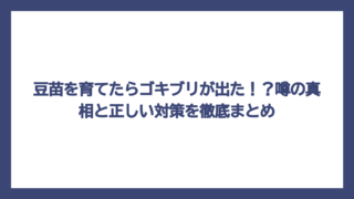 豆苗を育てたらゴキブリが出た！？噂の真相と正しい対策を徹底まとめ