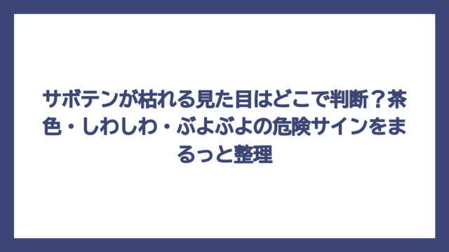 サボテンが枯れる見た目はどこで判断？茶色・しわしわ・ぶよぶよの危険サインをまるっと整理