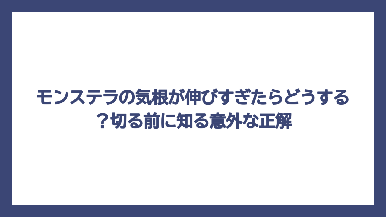 モンステラの気根が伸びすぎたらどうする？切る前に知る意外な正解