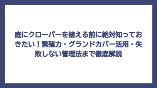 庭にクローバーを植える前に絶対知っておきたい！繁殖力・グランドカバー活用・失敗しない管理法まで徹底解説