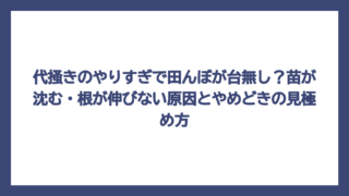 代掻きのやりすぎで田んぼが台無し？苗が沈む・根が伸びない原因とやめどきの見極め方
