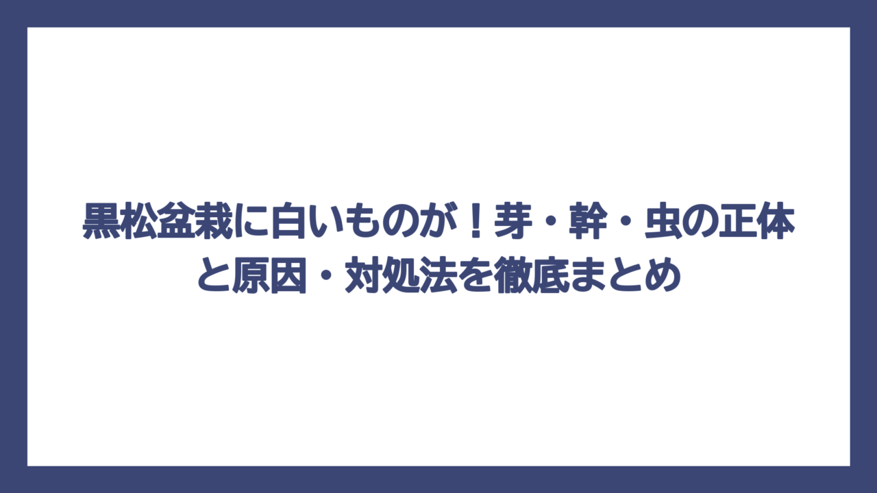 黒松盆栽に白いものが！芽・幹・虫の正体と原因・対処法を徹底まとめ