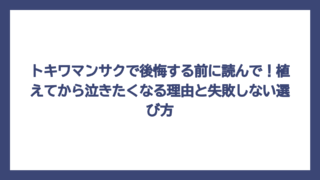 トキワマンサクで後悔する前に読んで！植えてから泣きたくなる理由と失敗しない選び方