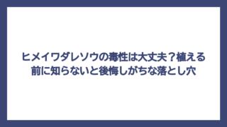 ヒメイワダレソウの毒性は大丈夫？植える前に知らないと後悔しがちな落とし穴