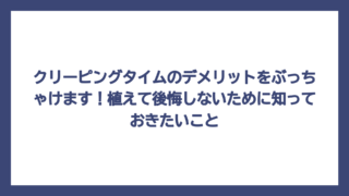 クリーピングタイムのデメリットをぶっちゃけます！植えて後悔しないために知っておきたいこと