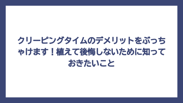 クリーピングタイムのデメリットをぶっちゃけます！植えて後悔しないために知っておきたいこと