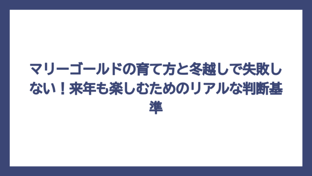 マリーゴールドの育て方と冬越しで失敗しない！来年も楽しむためのリアルな判断基準