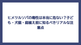 ヒメツルソバの毒性は本当に危ない？子ども・犬猫・庭植え前に知るべきリアルな注意点