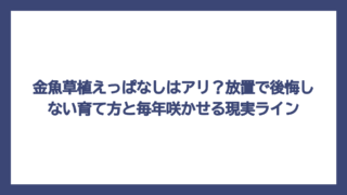 金魚草植えっぱなしはアリ？放置で後悔しない育て方と毎年咲かせる現実ライン