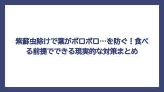 紫蘇虫除けで葉がボロボロ…を防ぐ！食べる前提でできる現実的な対策まとめ