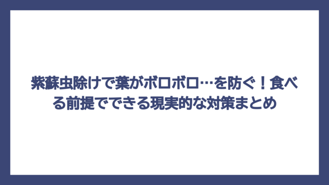 紫蘇虫除けで葉がボロボロ…を防ぐ！食べる前提でできる現実的な対策まとめ