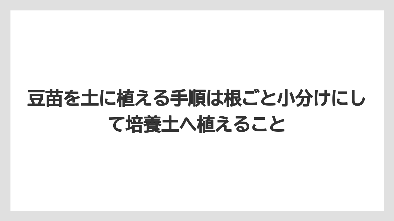 【土】【栽培】【植え】【育て方】【豆苗】豆苗を土に植える手順は根ごと小分けにして培養土へ植えること