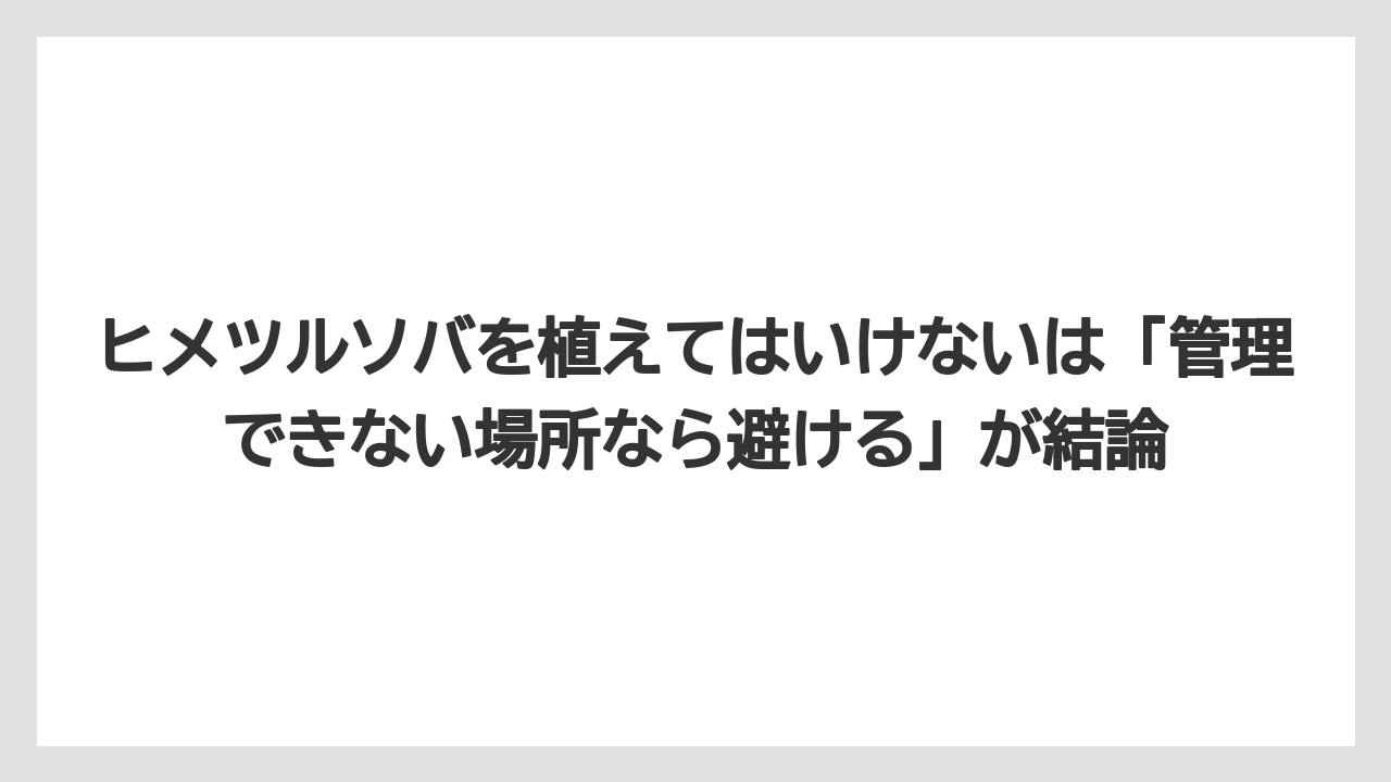 【いけない】【後悔】【栽培】【植え】ヒメツルソバを植えてはいけないは「管理できない場所なら避ける」が結論