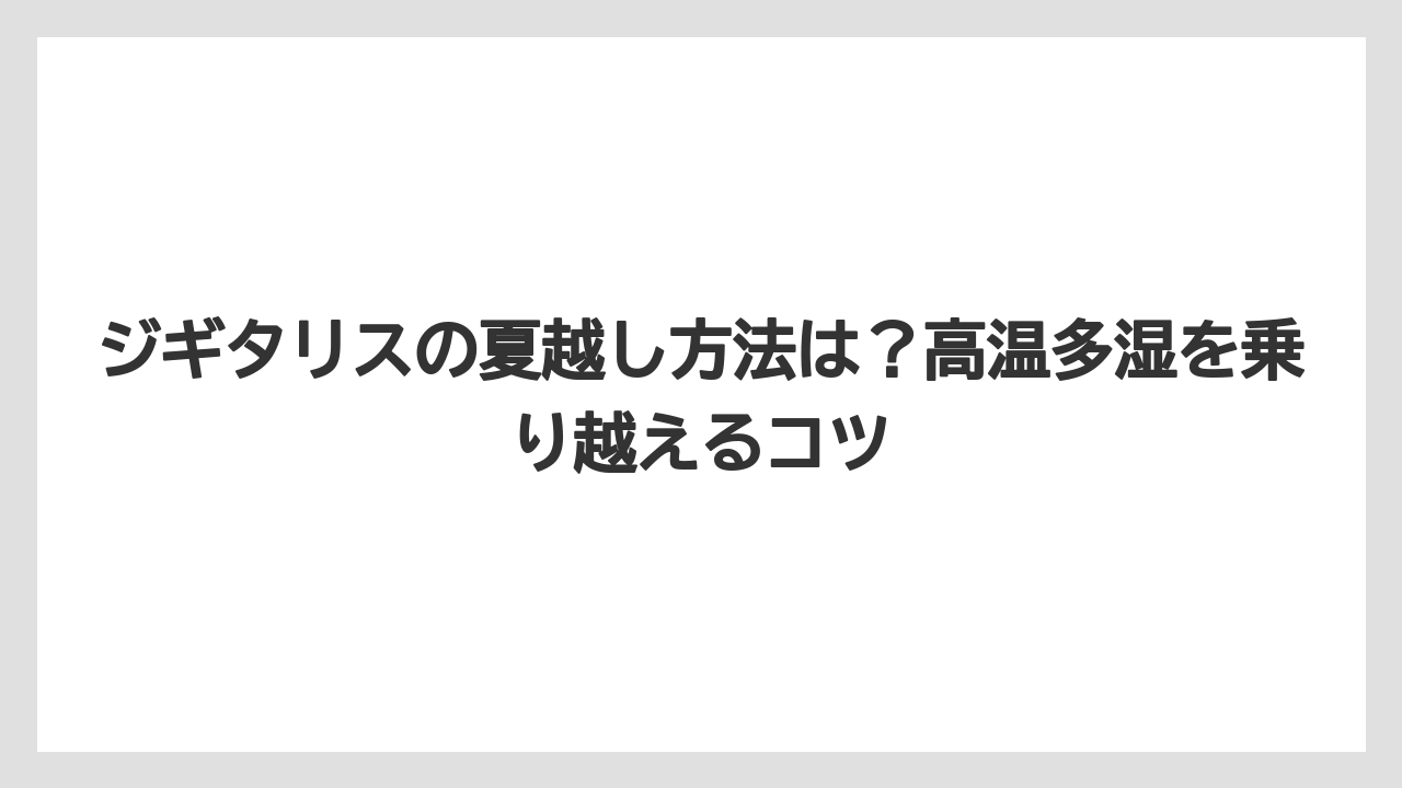 【栽培】【農園】【農業】ジギタリスの夏越し方法は?高温多湿を乗り越えるコツ