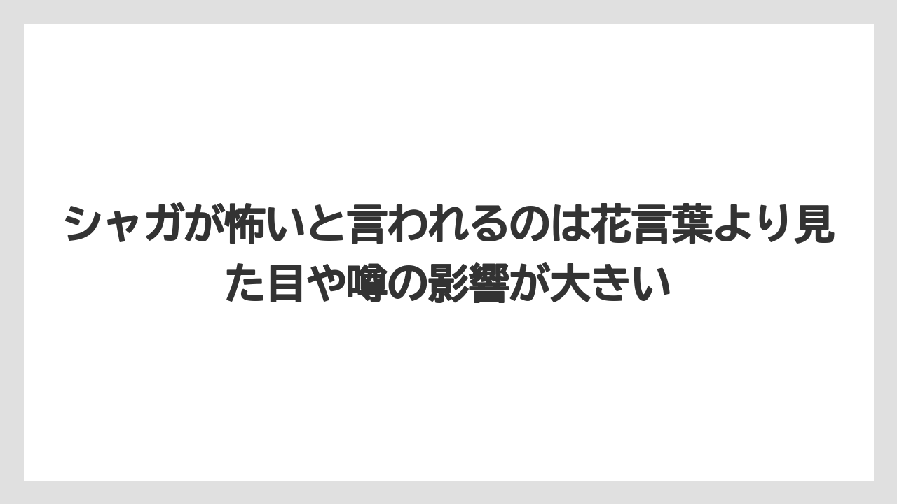 【栽培】【花】【葉】シャガが怖いと言われるのは花言葉より見た目や噂の影響が大きい