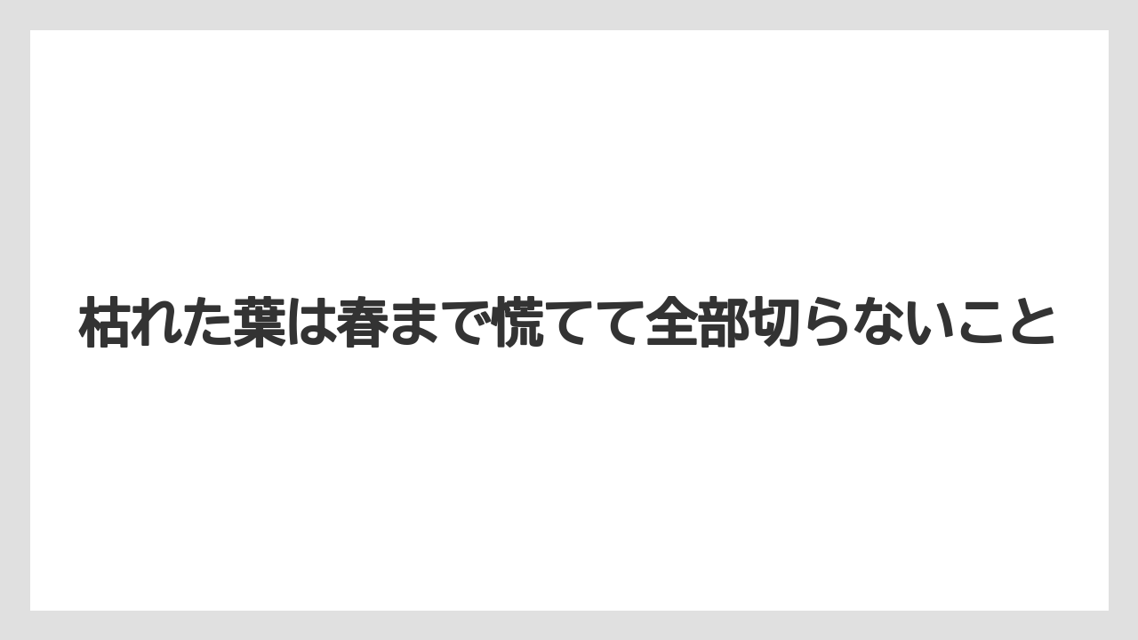 【栽培】【農園】【農業】枯れた葉は春まで慌てて全部切らないこと