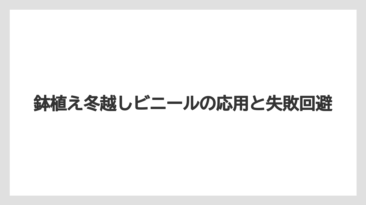 鉢植えの置き場所は日当たりと霜よけを両立すること