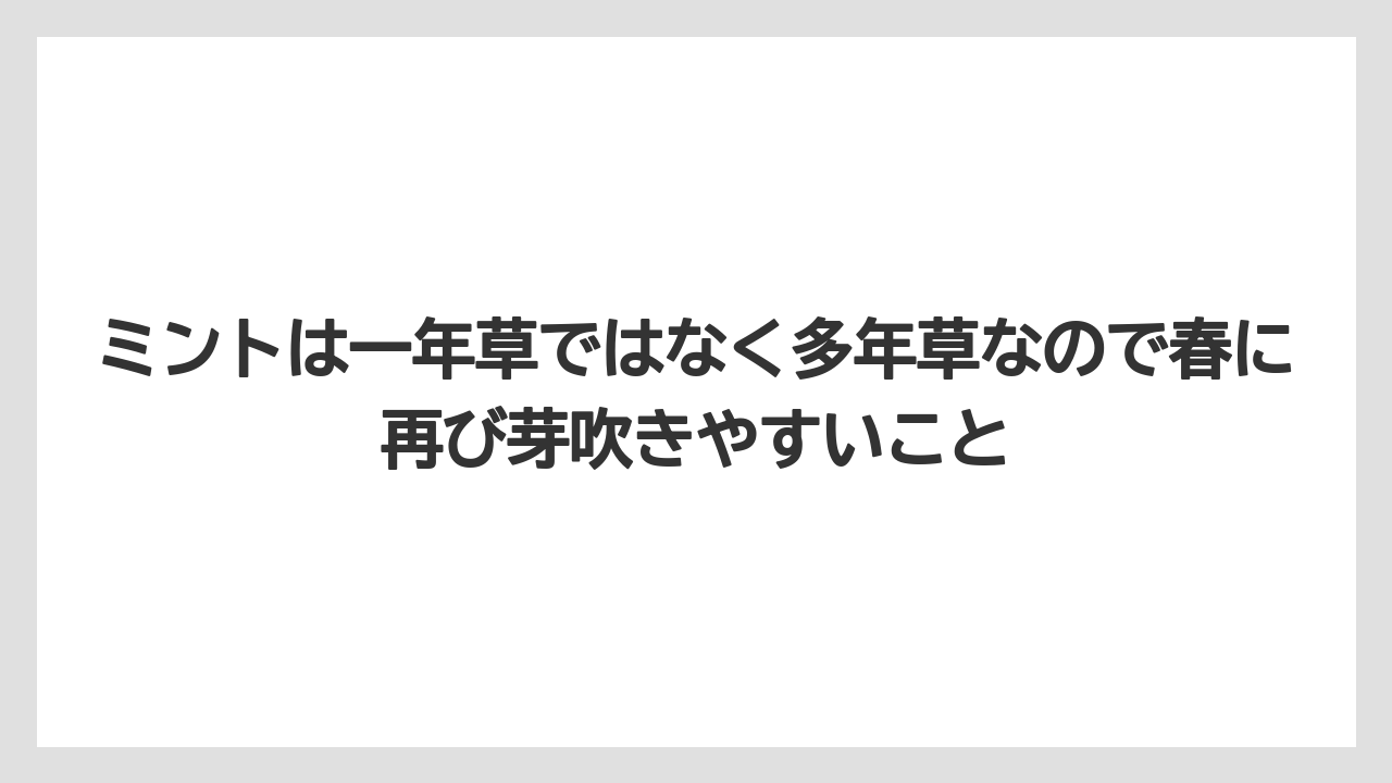 【ミント】【栽培】【農業】ミントは一年草ではなく多年草なので春に再び芽吹きやすいこと