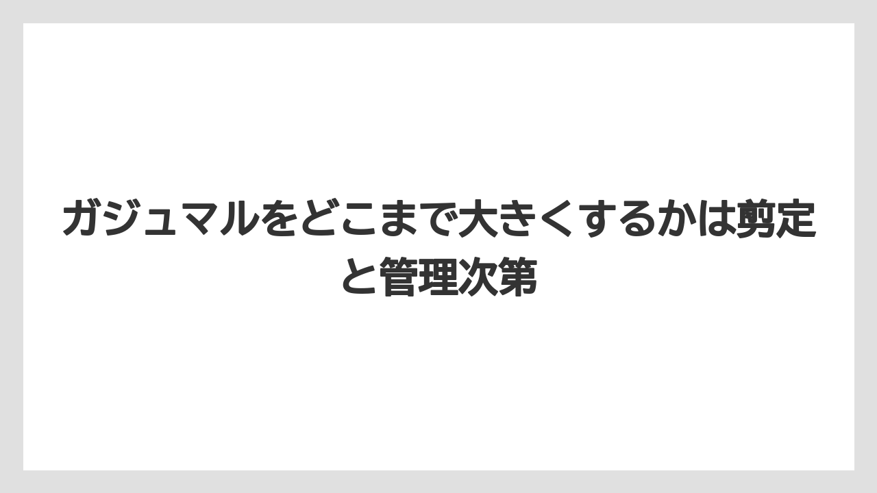【ガジュマル】【剪定】【栽培】ガジュマルのポコっとした特徴的な部分の正体は幹ではなく根である