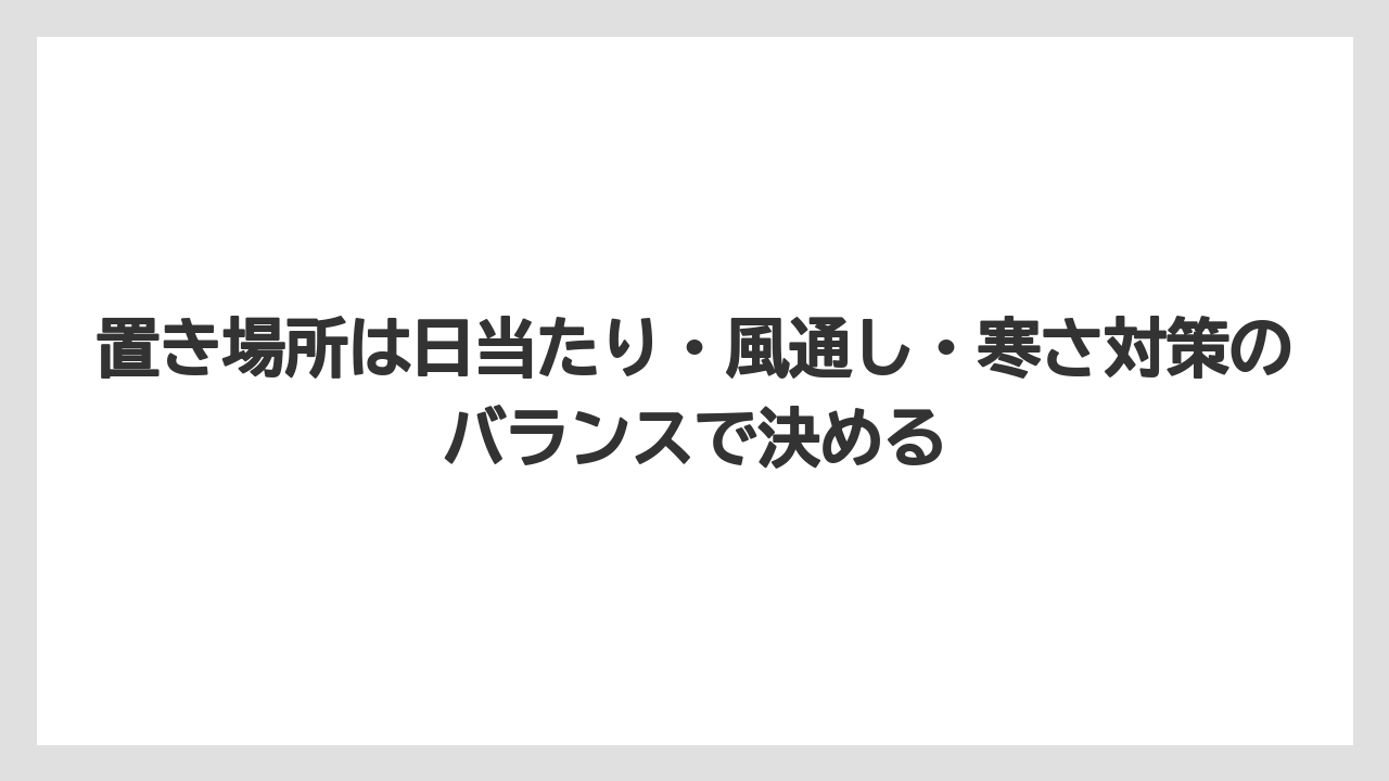 【木】【栽培】【農業】置き場所は日当たり・風通し・寒さ対策のバランスで決める