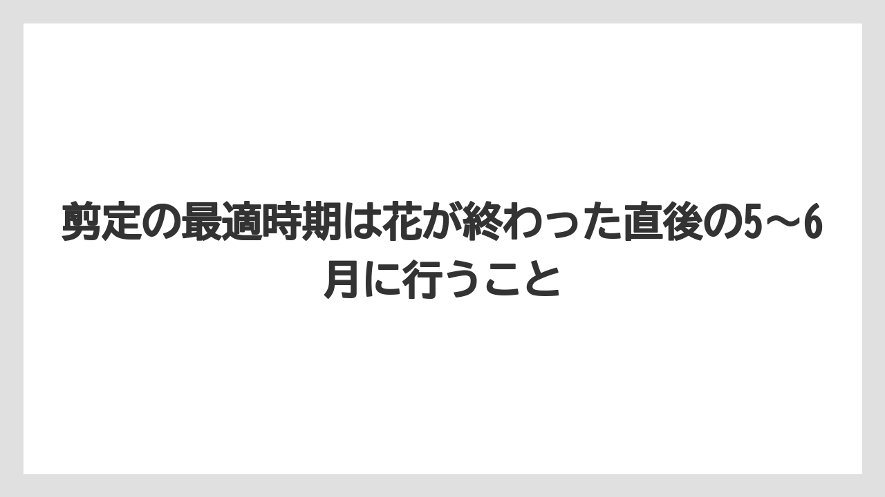 【ビバーナム】【後悔】【栽培】【植え】【育て方】剪定の最適時期は花が終わった直後の5〜6月に行うこと