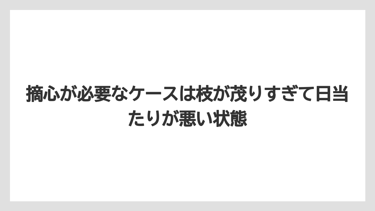 【栽培】【育て方】【花】【農業】摘心が必要なケースは枝が茂りすぎて日当たりが悪い状態