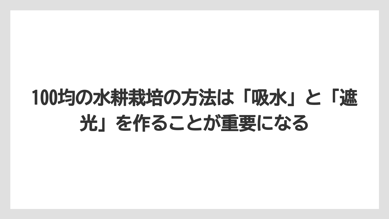 【100均】【しそ】【バーミキュライト】【栽培】【水耕栽培】100均の水耕栽培の方法は「吸水」と「遮光」を作ることが重要になる