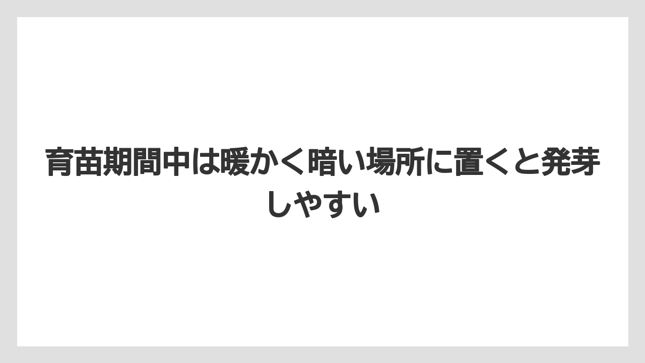 【ゴーヤ】【栽培】【農業】育苗期間中は暖かく暗い場所に置くと発芽しやすい