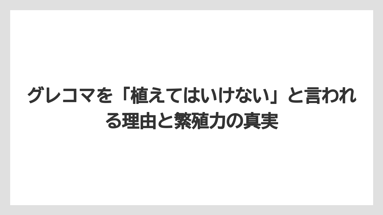 グレコマを「植えてはいけない」と言われる理由と繁殖力の真実