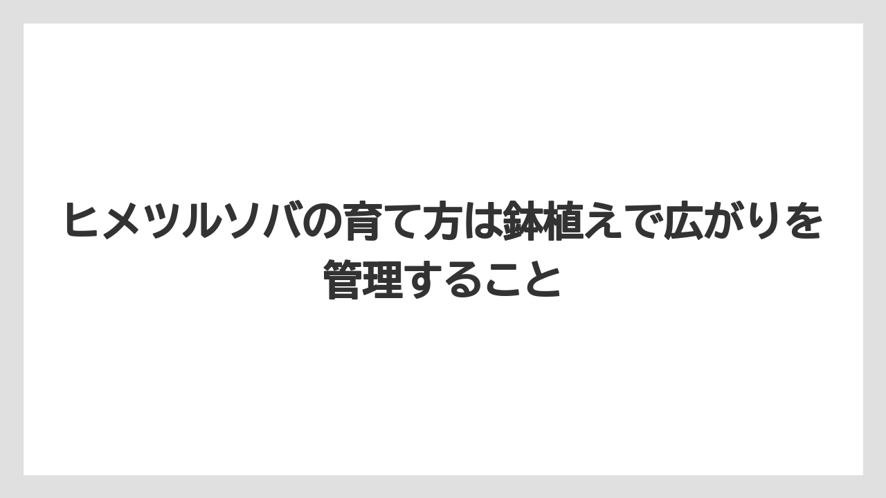【庭】【栽培】【植え】【毒】【猫】ヒメツルソバの育て方は鉢植えで広がりを管理すること