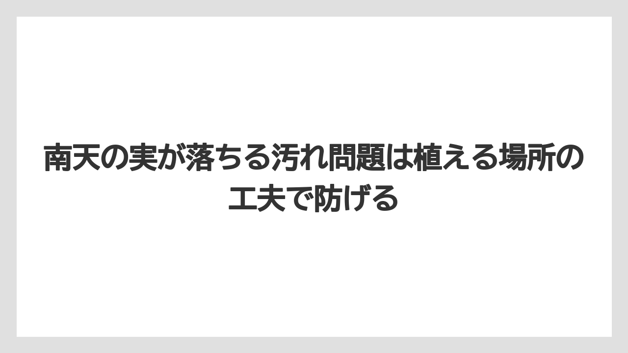 【栽培】【農園】【農業】南天の実が落ちる汚れ問題は植える場所の工夫で防げる