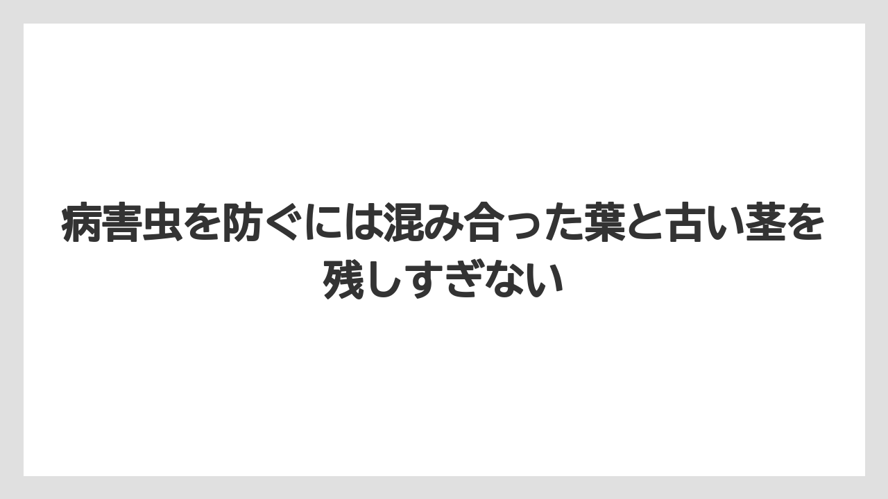 【栽培】【農園】【農業】病害虫を防ぐには混み合った葉と古い茎を残しすぎない