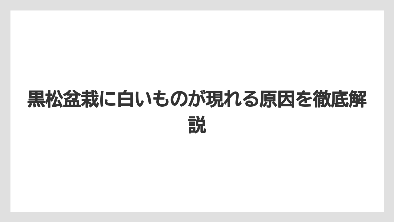 黒松盆栽に白いものが現れる原因を徹底解説