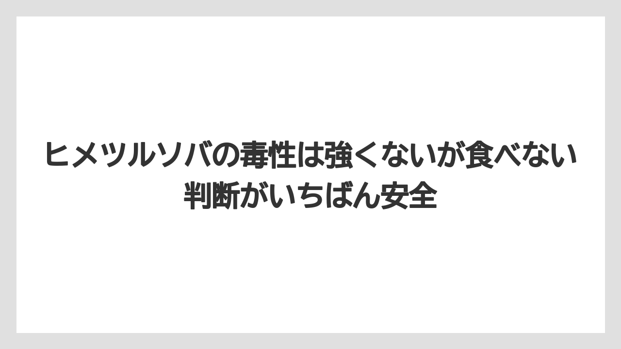 【庭】【栽培】【植え】【毒】【猫】ヒメツルソバの毒性は強くないが食べない判断がいちばん安全